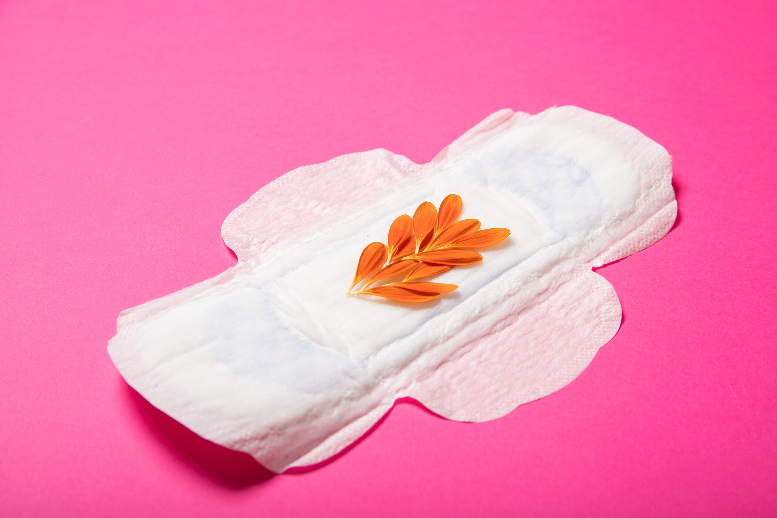 Biodegradable Sanitary Napkins Market Size to Surpass USD 1.5 Billion