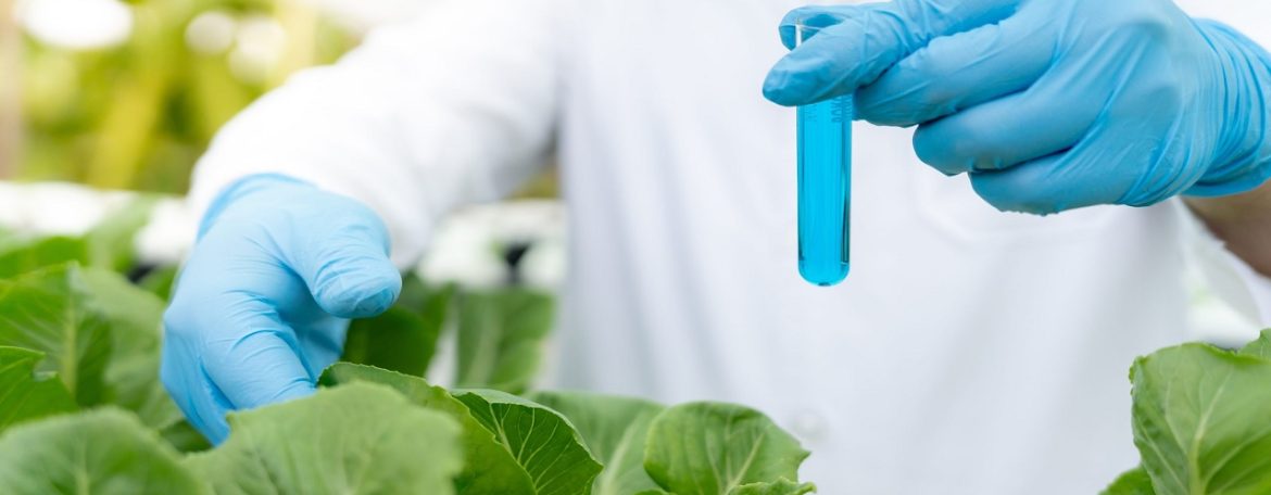 The Growing Demand For Sustainable Solutions Driving The Biopesticides Market