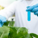 The Growing Demand For Sustainable Solutions Driving The Biopesticides Market