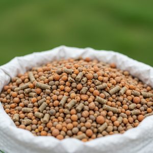 Global Fertilizer Market: Nourishing Growth in a Changing Agricultural Landscape