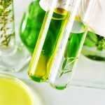 Projected Trends in The Isoparaffin Solvents Market Valuation by 2030