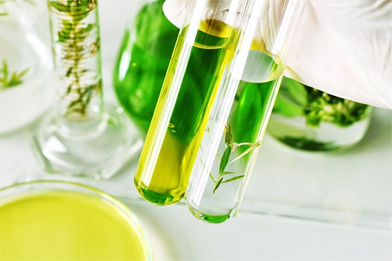Projected Trends in The Isoparaffin Solvents Market Valuation by 2030