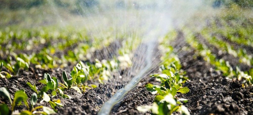 The Rise of Micro Irrigation Systems: Transforming Global Agriculture Through Water-Efficient Technology