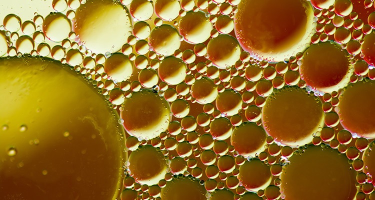Insights into the Refrigeration Oil Market: Competitive Landscape and Future Outlook
