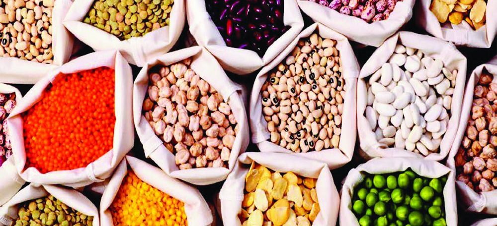 Seed Market