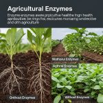 Agricultural Enzymes Market: Transforming Modern Agriculture Through Biotechnology