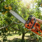 Comprehensive analysis of the global chainsaw market in agriculture, projected to reach $6.46 Bn by 2035. Explore market drivers, trends, and growth opportunities in agricultural chainsaw applications.
