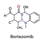 Comprehensive Bortezomib Market analysis covering market dynamics, top trends, challenges, opportunities, and regional insights. Explore growth drivers in cancer treatment industry.